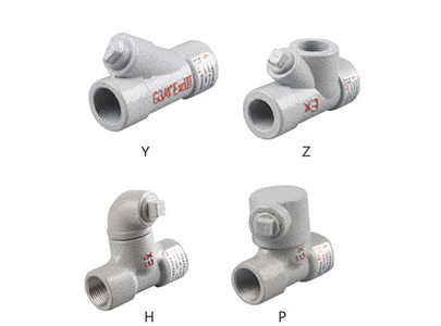 BCG-防爆隔離(lí)密封盒(EXdII)