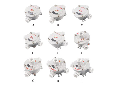 AH-防爆接線盒(IIB、IIC)
